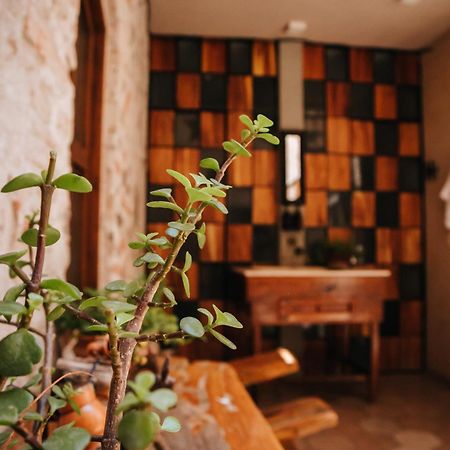 Hotel Casa 88 Сан Мигел де Аленде Екстериор снимка